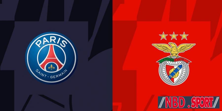 Match Today: Paris Saint-Germain vs Benfica 11-10-2022 UEFA Champions League